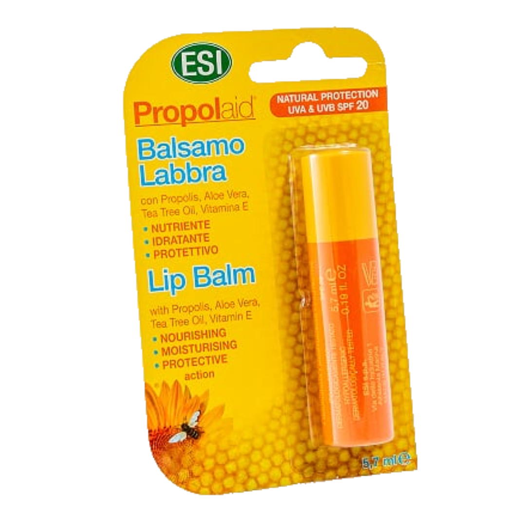 import placeholder for 3481